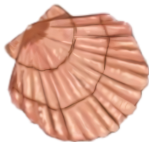 19